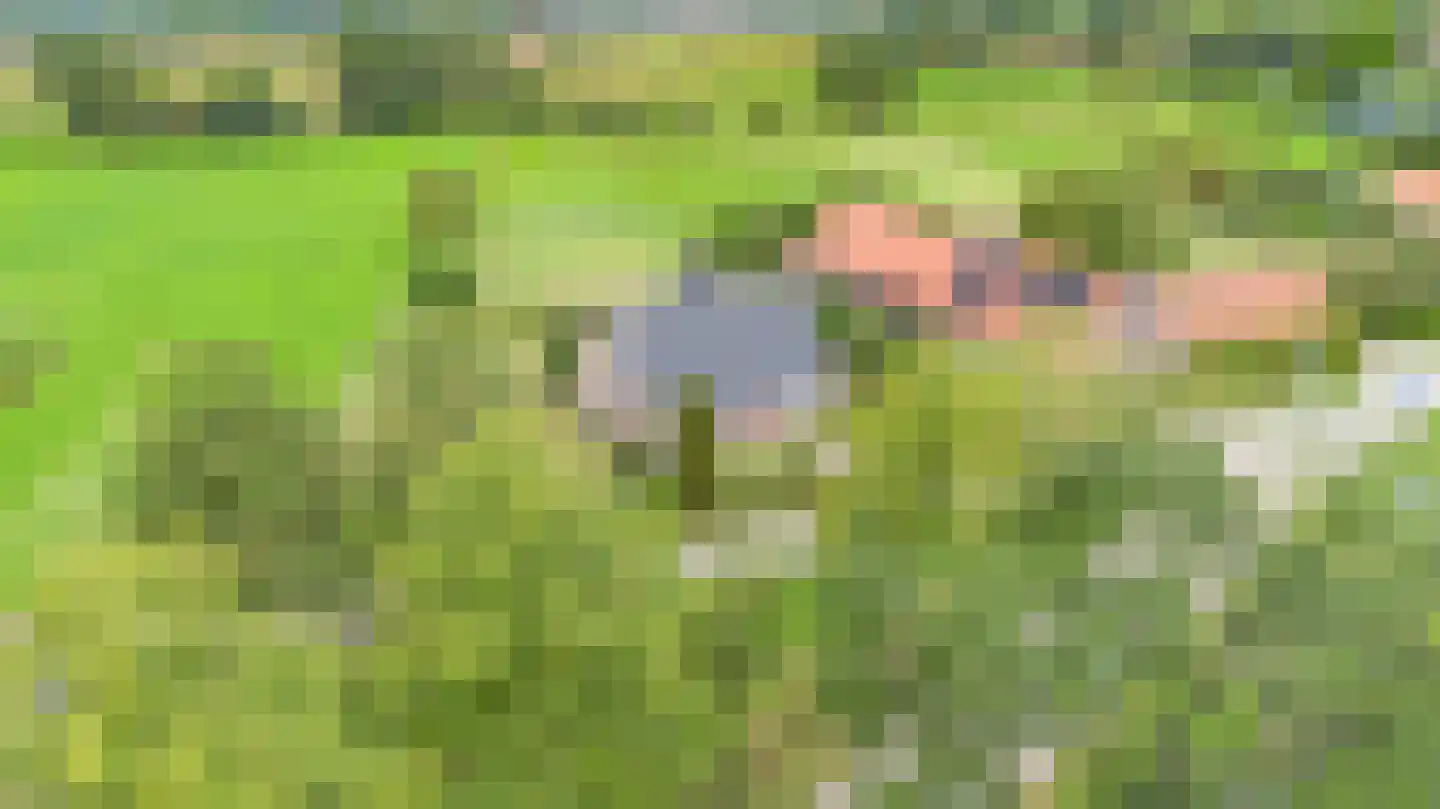 Dominee's hof 5 Oost West en Middelbeers thumbnail 47