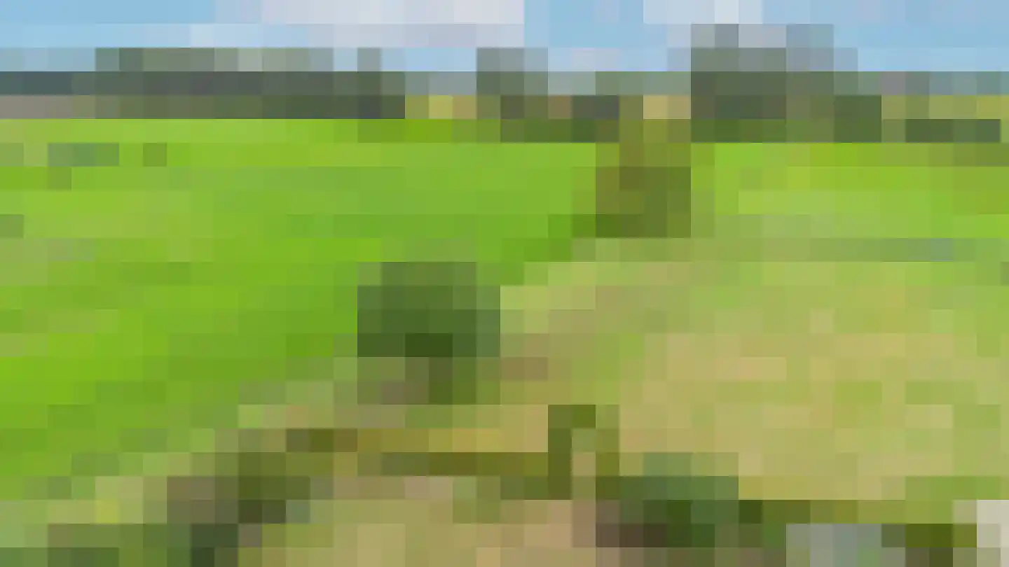 Dominee's hof 5 Oost West en Middelbeers thumbnail 49