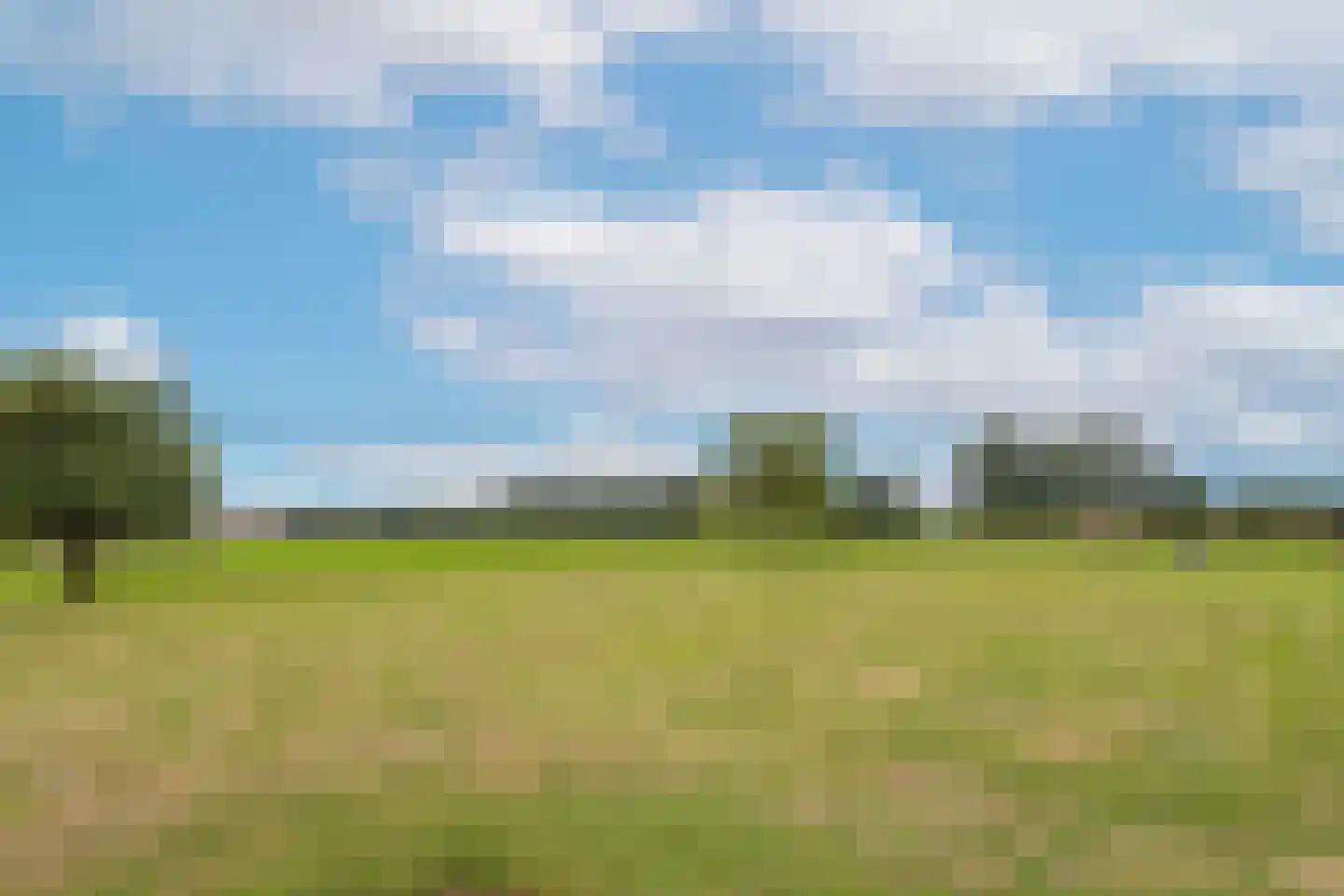 Dominee's hof 5 Oost West en Middelbeers thumbnail 50