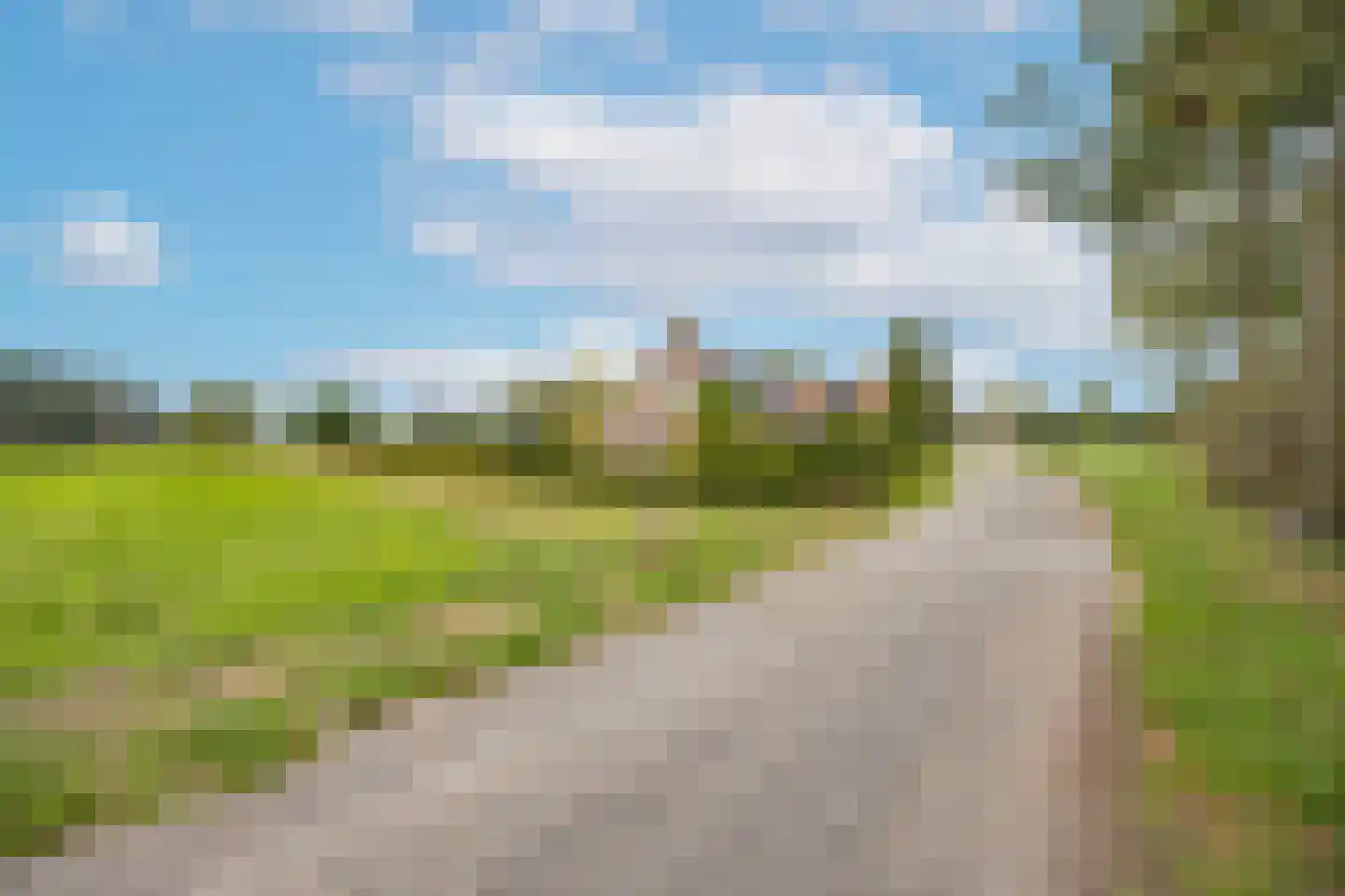 Dominee's hof 5 Oost West en Middelbeers thumbnail 51