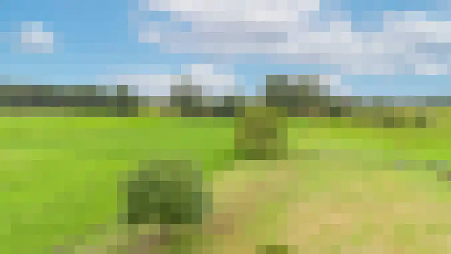 Dominee's hof 5 Oost West en Middelbeers thumbnail 6