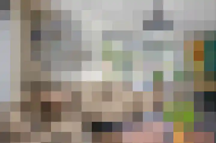 Dominee Swaluestraat 4 Helenaveen thumbnail 12