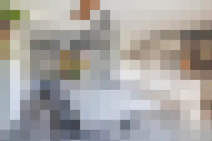Dominee Swaluestraat 4 Helenaveen thumbnail 18