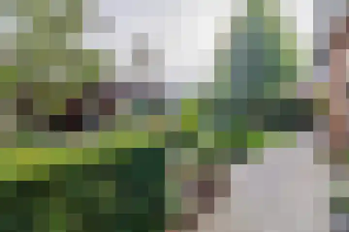 Dominee Swaluestraat 4 Helenaveen thumbnail 38