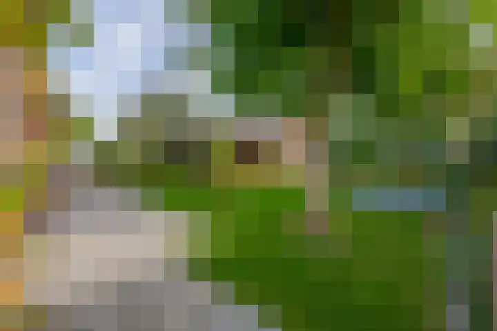 Dominee Swaluestraat 4 Helenaveen thumbnail 4