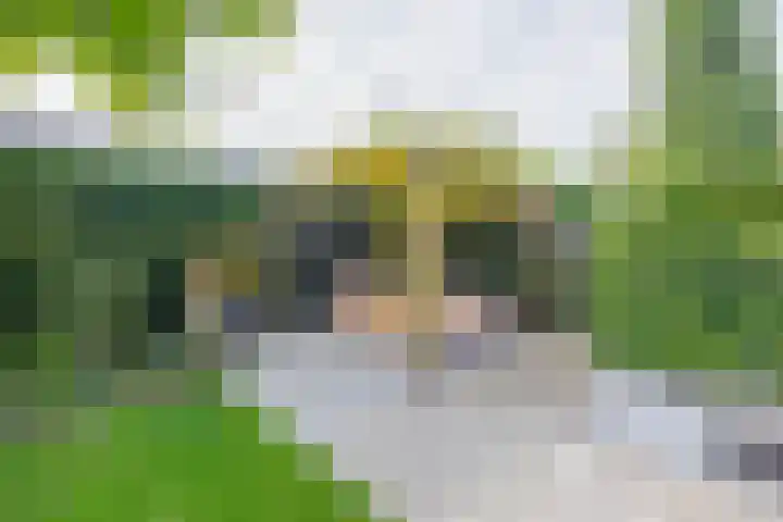 Dominee Swaluestraat 4 Helenaveen thumbnail 41