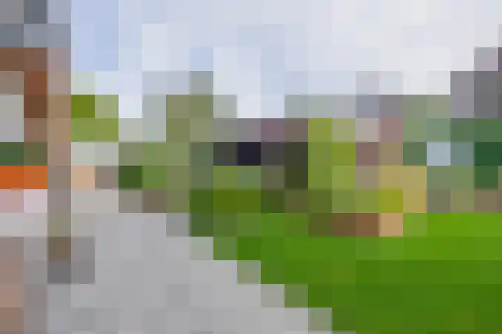 Dominee Swaluestraat 4 Helenaveen thumbnail 42