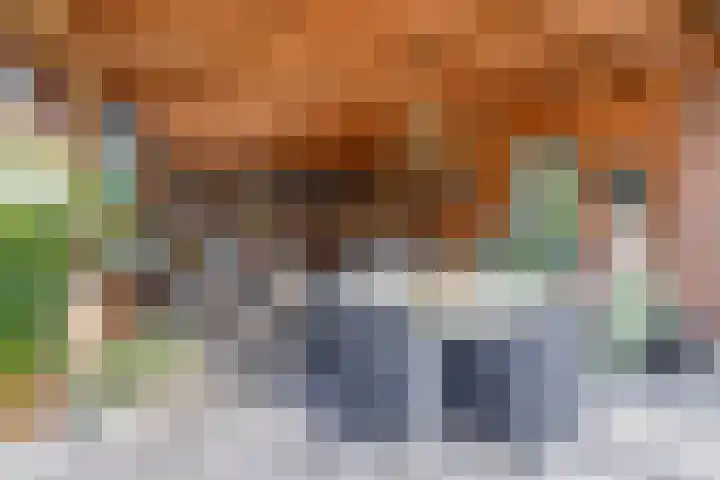 Dominee Swaluestraat 4 Helenaveen thumbnail 43