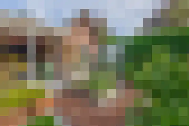 Dominee Swaluestraat 4 Helenaveen thumbnail 45