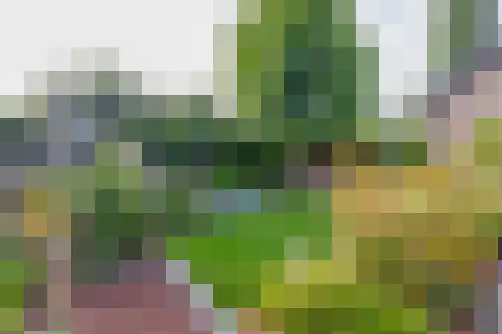 Dominee Swaluestraat 4 Helenaveen thumbnail 47