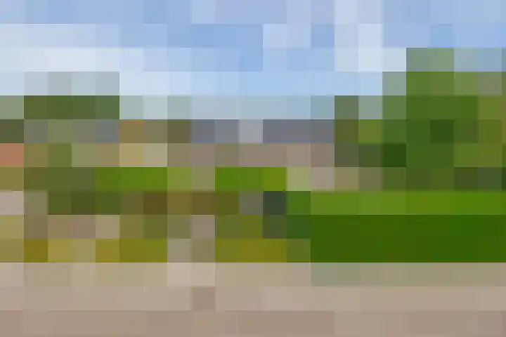 Dominee Swaluestraat 4 Helenaveen thumbnail 5