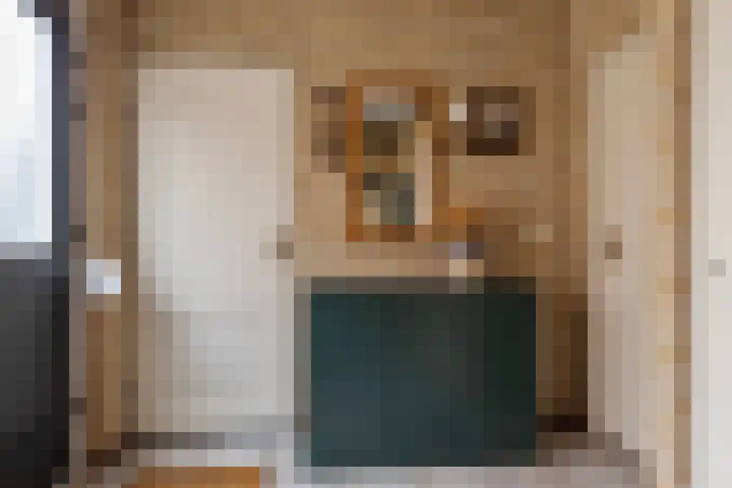 Dominee van Dorpstraat 13 Gendringen thumbnail 10