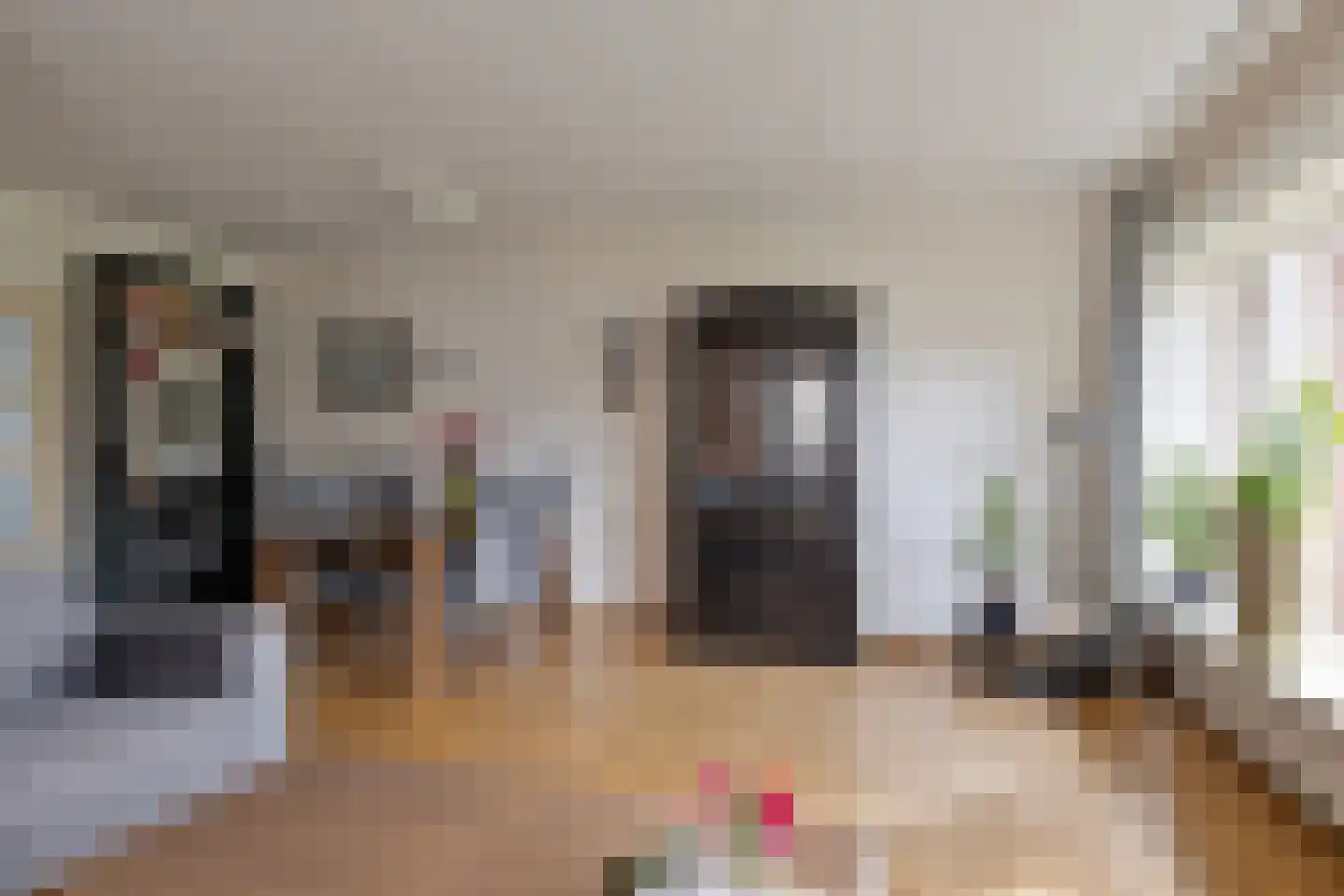 Dominee van Dorpstraat 13 Gendringen thumbnail 14