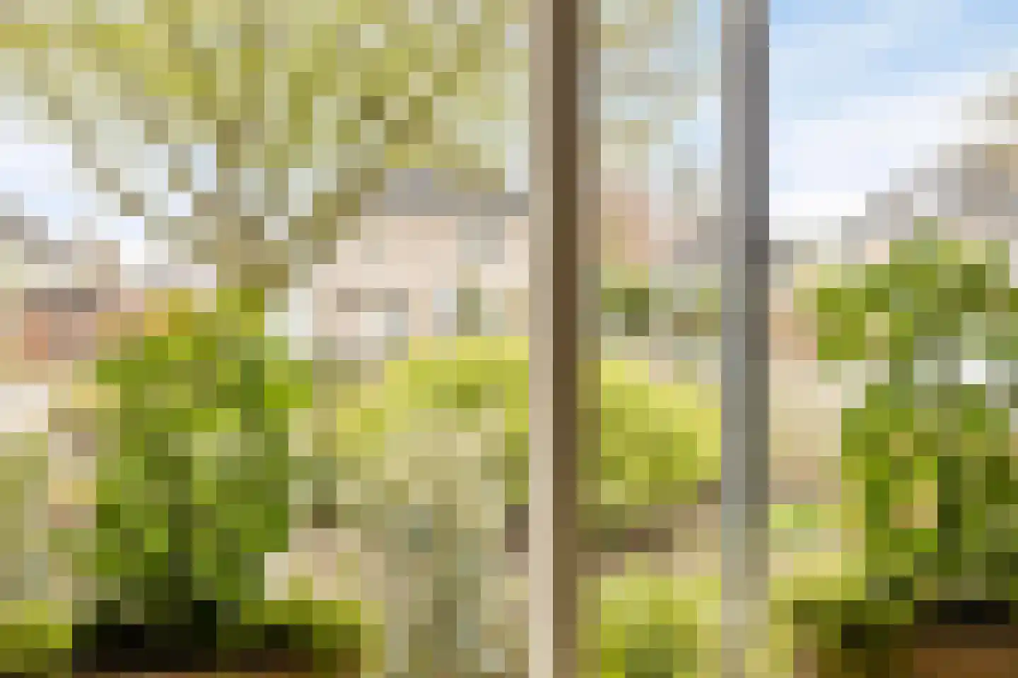 Dominee van Dorpstraat 13 Gendringen thumbnail 15