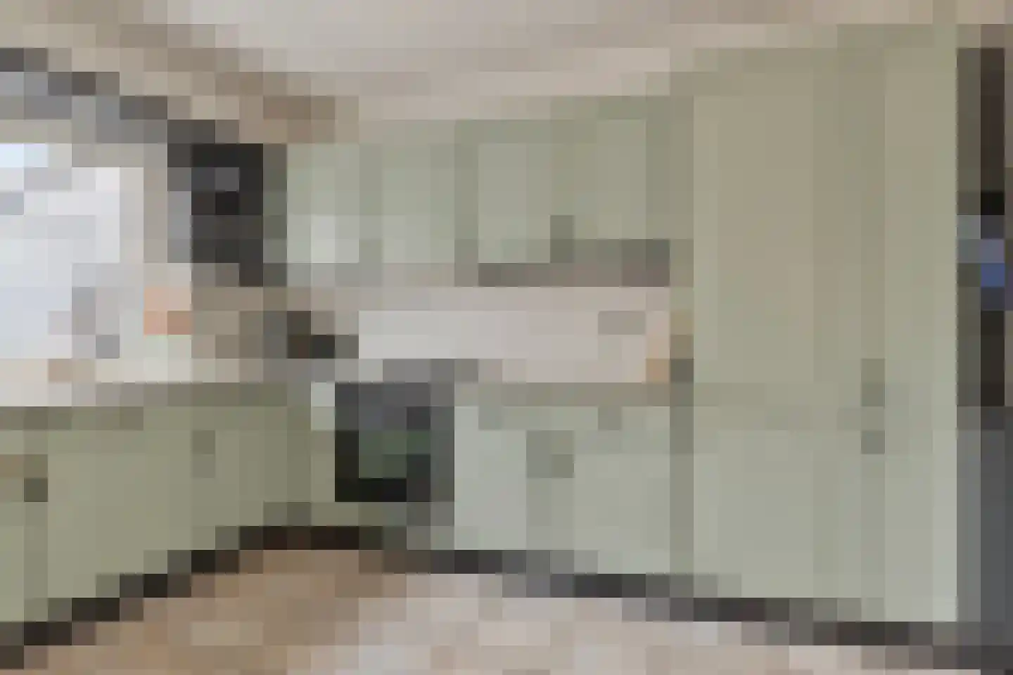 Dominee van Dorpstraat 13 Gendringen thumbnail 20