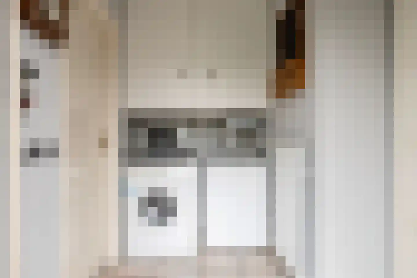 Dominee van Dorpstraat 13 Gendringen thumbnail 22