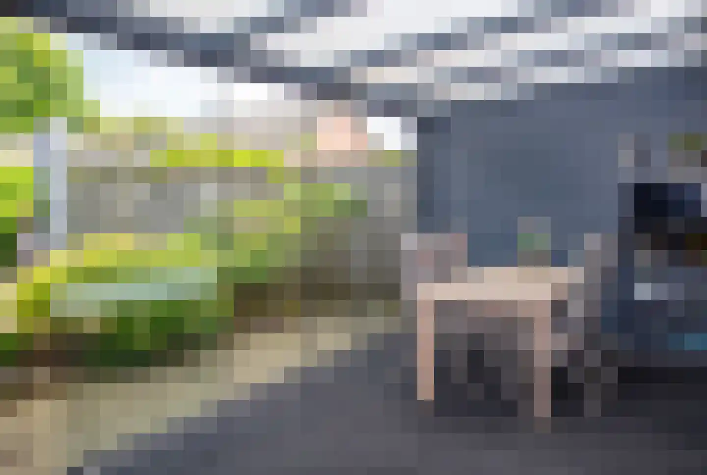 Dominee van Dorpstraat 13 Gendringen thumbnail 23