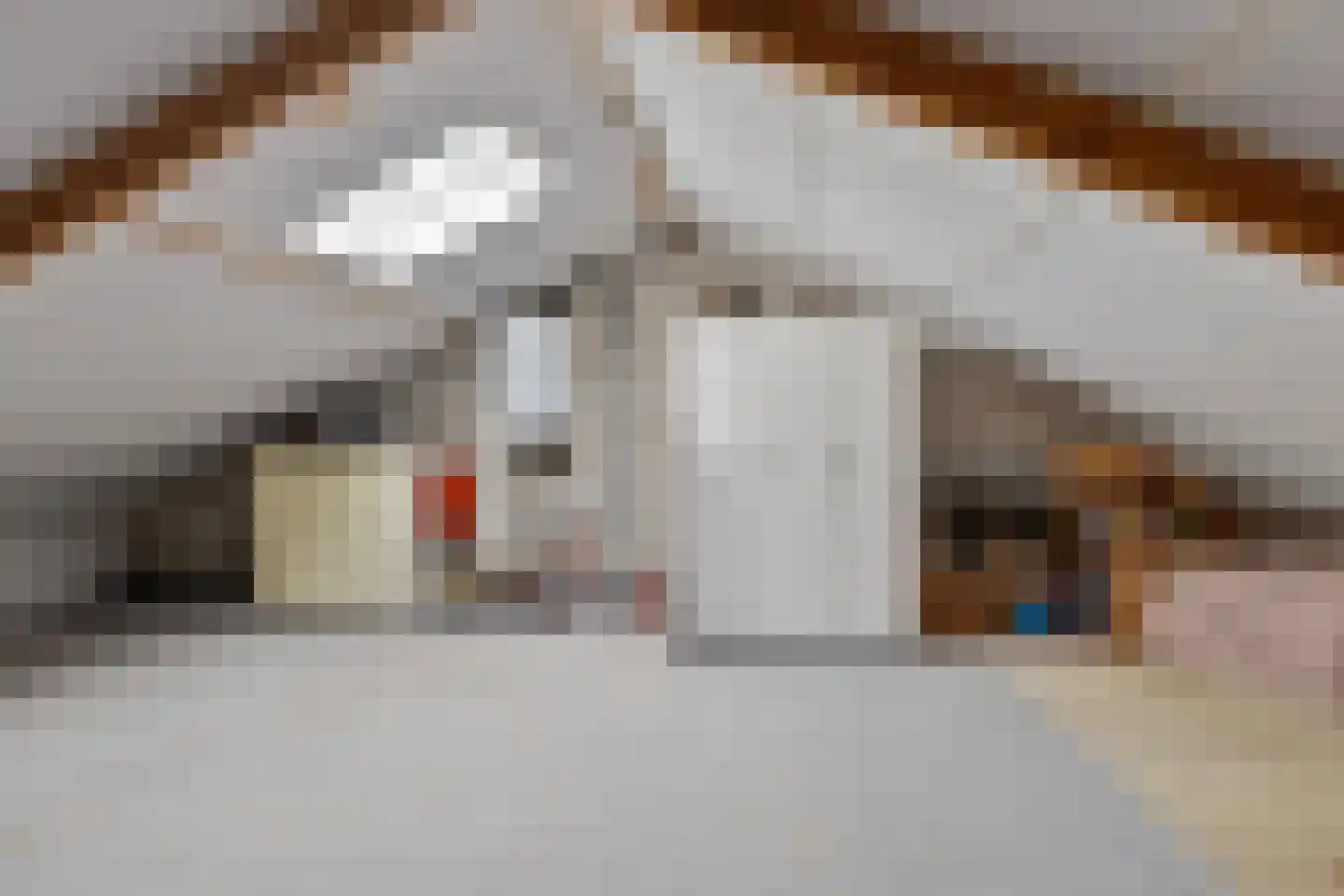 Dominee van Dorpstraat 13 Gendringen thumbnail 42