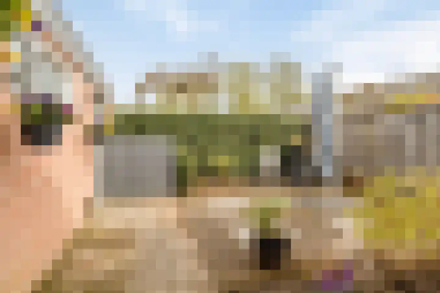 Dominee van Dorpstraat 13 Gendringen thumbnail 44