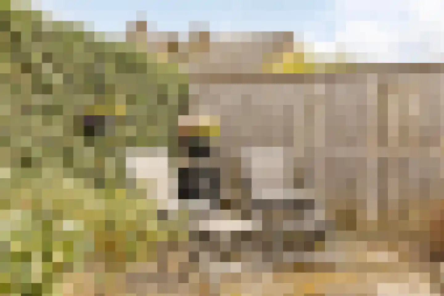 Dominee van Dorpstraat 13 Gendringen thumbnail 46