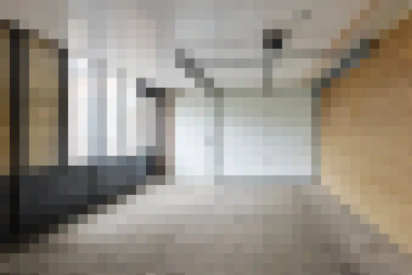 Dominee van Dorpstraat 13 Gendringen thumbnail 48