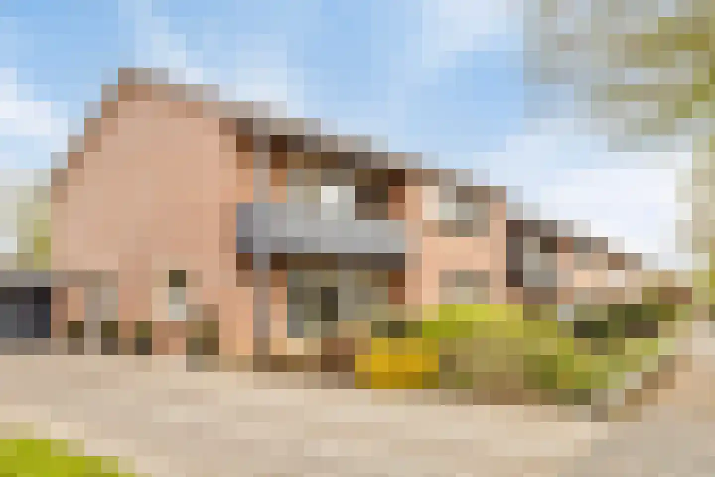 Dominee van Dorpstraat 13 Gendringen thumbnail 50