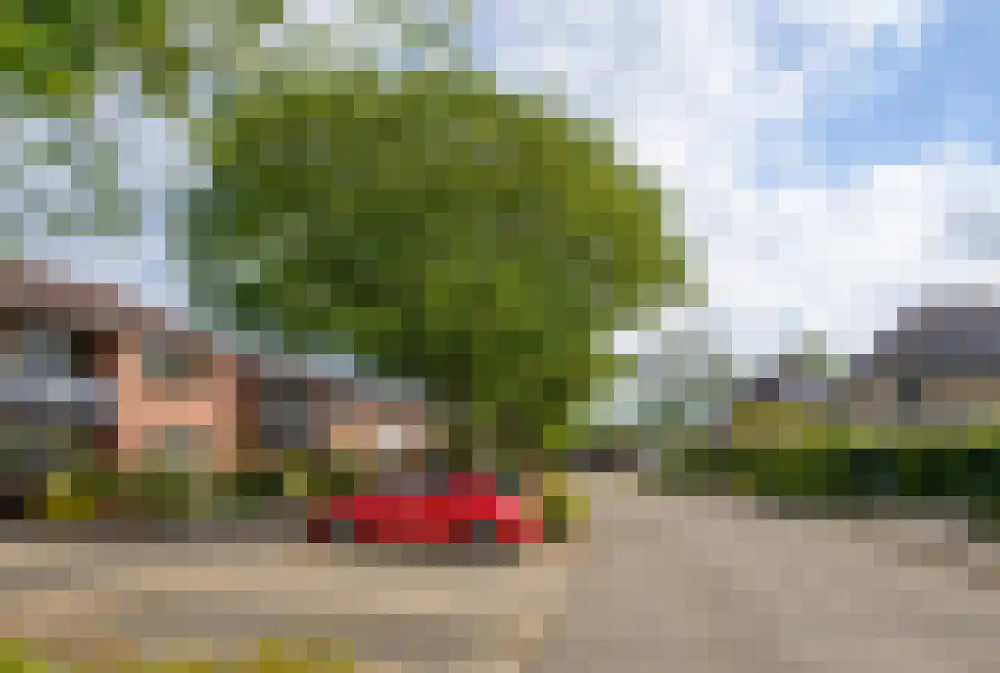 Dominee van Dorpstraat 13 Gendringen thumbnail 51