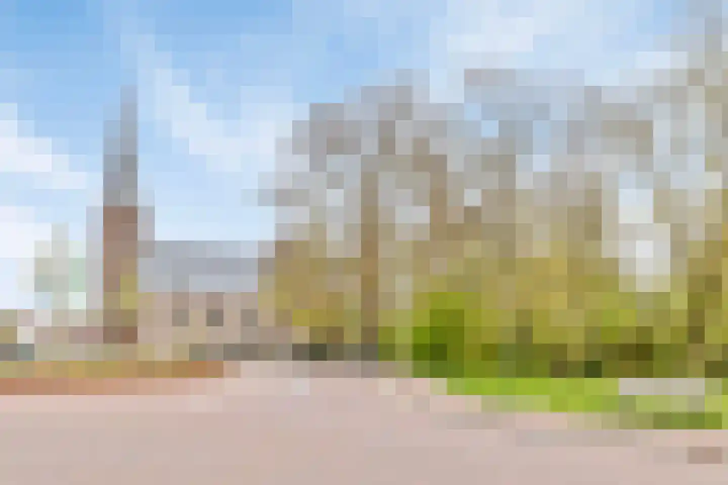Dominee van Dorpstraat 13 Gendringen thumbnail 53