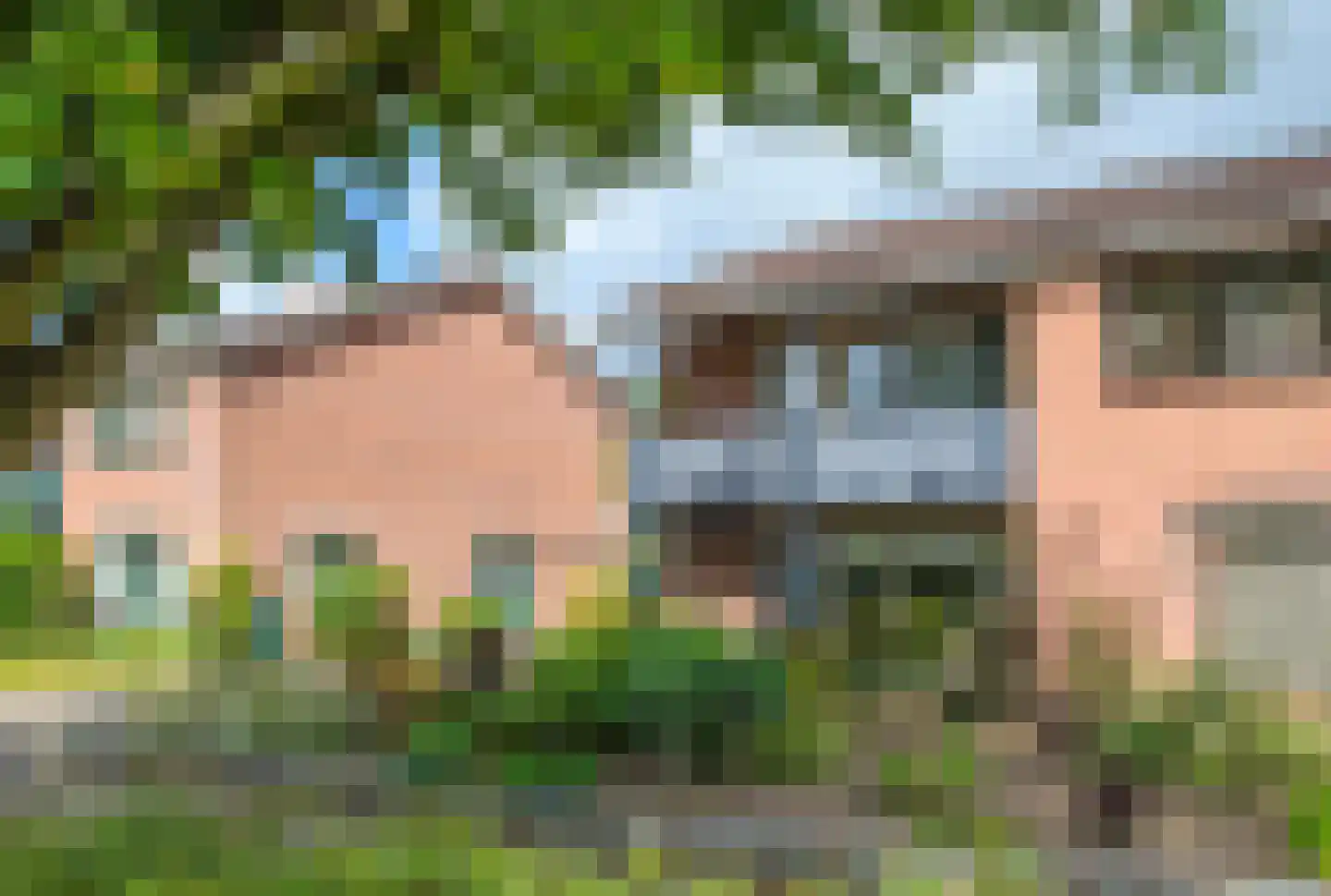 Dominee van Dorpstraat 13 Gendringen thumbnail 6