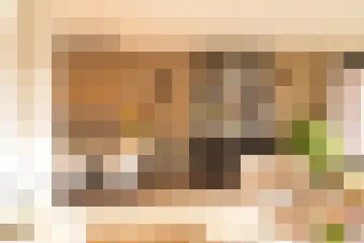 Dominee van Dorpstraat 5 Gendringen thumbnail 11