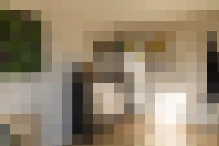 Dominee van Dorpstraat 5 Gendringen thumbnail 23
