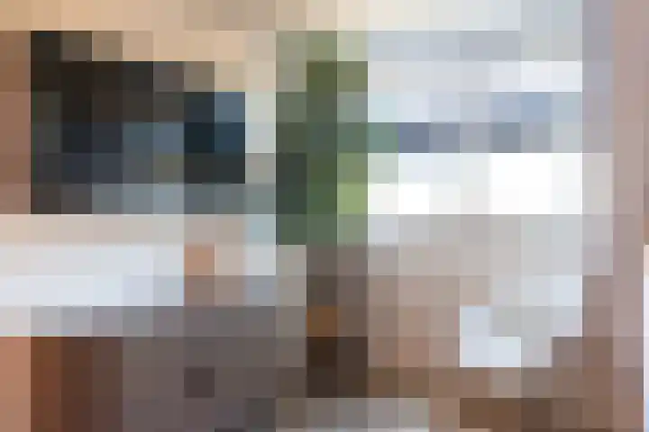 Dominee van Dorpstraat 5 Gendringen thumbnail 34