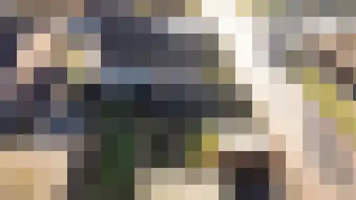 Dominee van Dorpstraat 5 Gendringen thumbnail 35