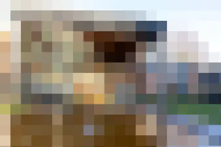 Dominee van Dorpstraat 5 Gendringen thumbnail 37