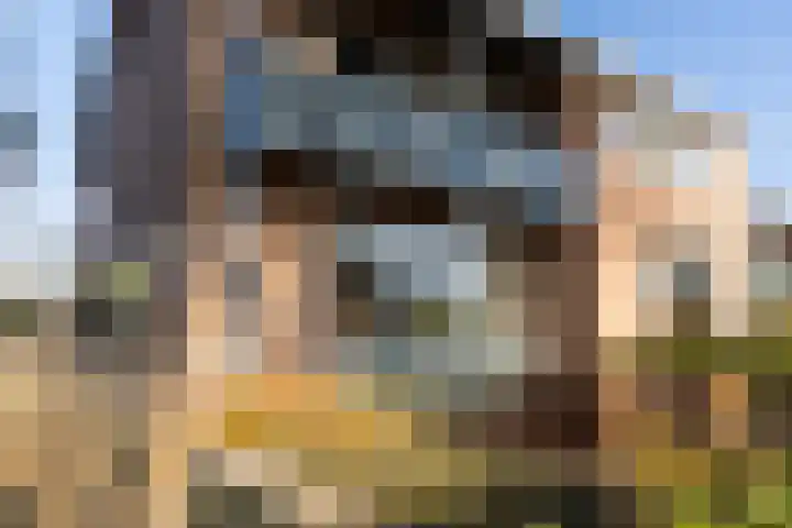 Dominee van Dorpstraat 5 Gendringen thumbnail 4