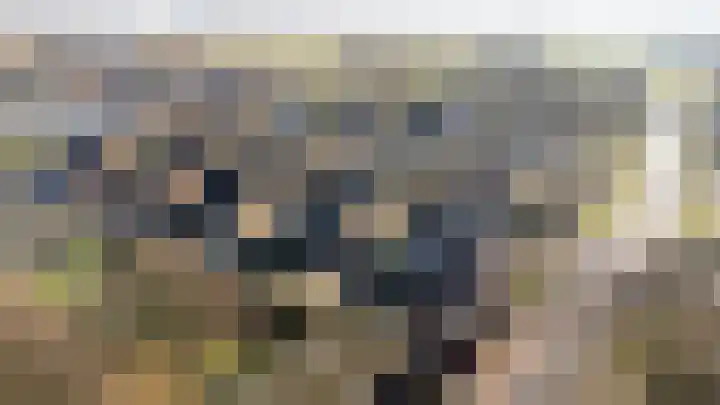Dominee van Dorpstraat 5 Gendringen thumbnail 41