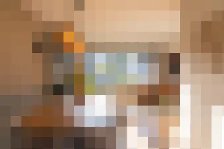 Dominee van Dorpstraat 5 Gendringen thumbnail 9