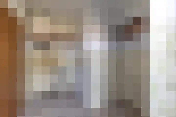 Dominee van Dorpstraat 9 Gendringen thumbnail 13