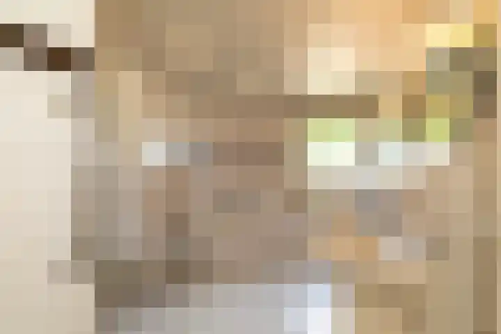 Dominee van Dorpstraat 9 Gendringen thumbnail 16