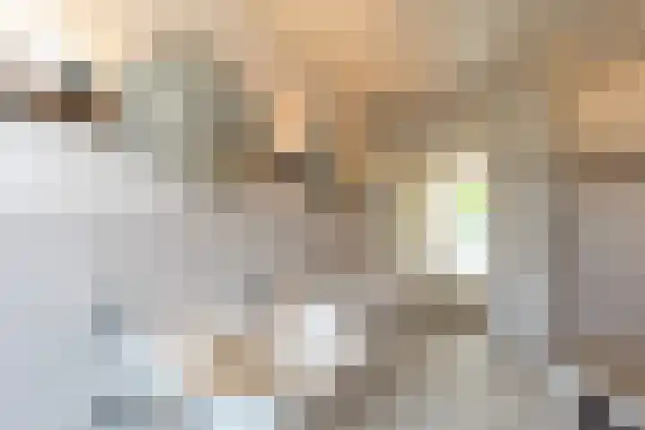 Dominee van Dorpstraat 9 Gendringen thumbnail 18