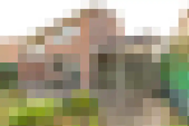 Dominee van Dorpstraat 9 Gendringen thumbnail 26