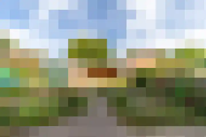 Dominee van Dorpstraat 9 Gendringen thumbnail 27