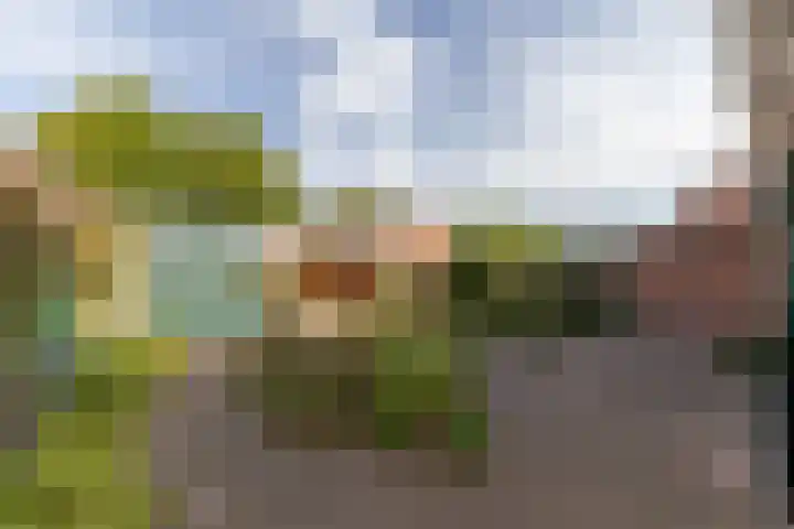 Dominee van Dorpstraat 9 Gendringen thumbnail 28