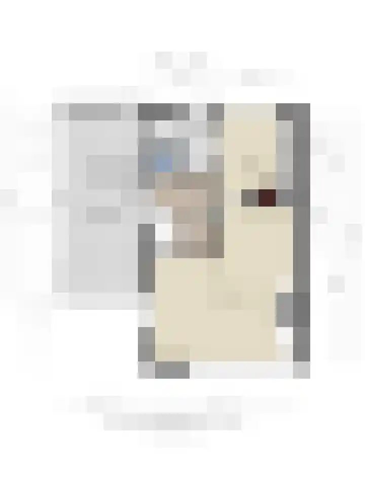 Dominee van Dorpstraat 9 Gendringen thumbnail 31
