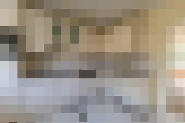 Dominee van Dorpstraat 9 Gendringen thumbnail 8