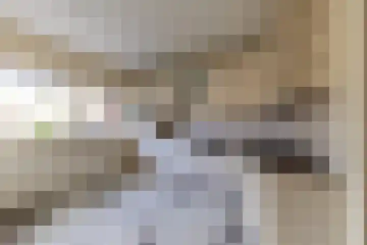 Dominee van Dorpstraat 9 Gendringen thumbnail 9