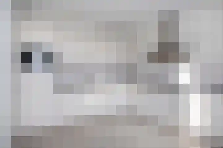 Dominee Van Ingenstraat 10 Hedel thumbnail 10