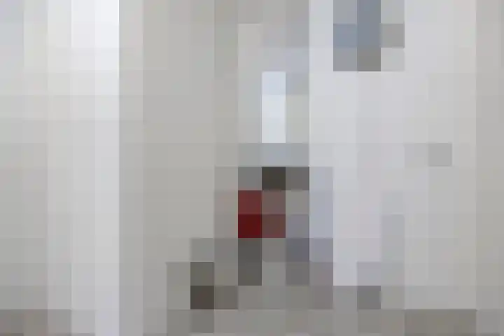 Dominee Van Ingenstraat 10 Hedel thumbnail 14