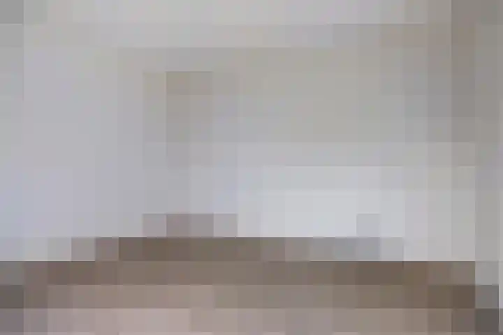 Dominee Van Ingenstraat 10 Hedel thumbnail 15