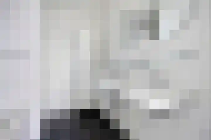 Dominee Van Ingenstraat 10 Hedel thumbnail 17
